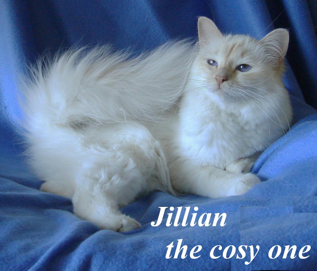 Jillian