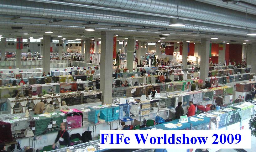 Worldshow St. Gallen