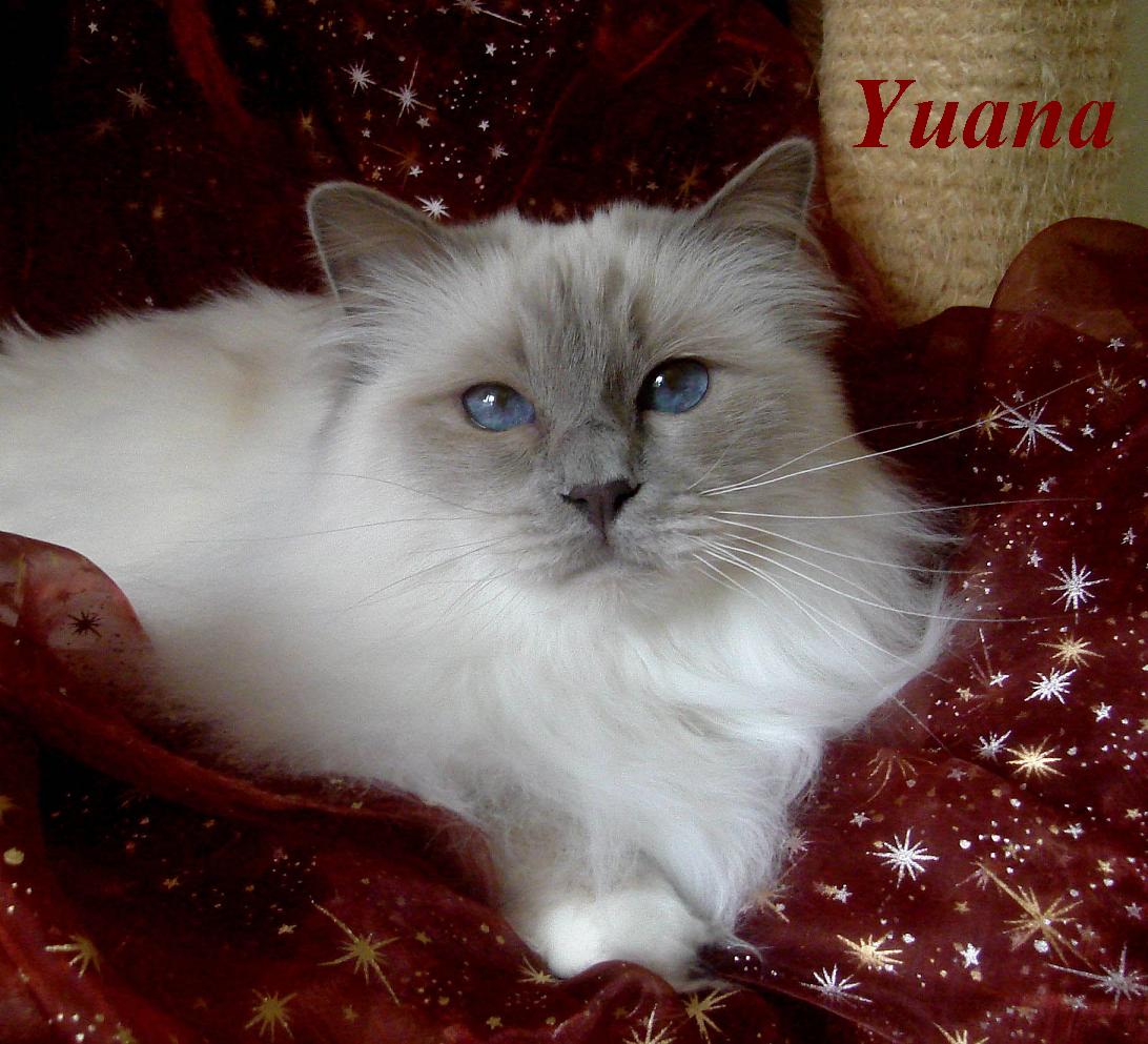 Yuana 8 Jahre