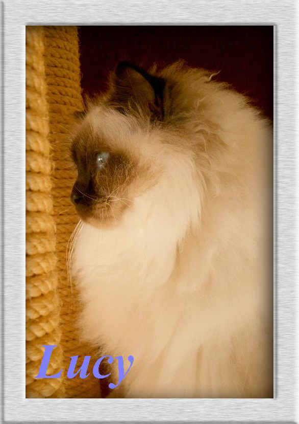 Lucy