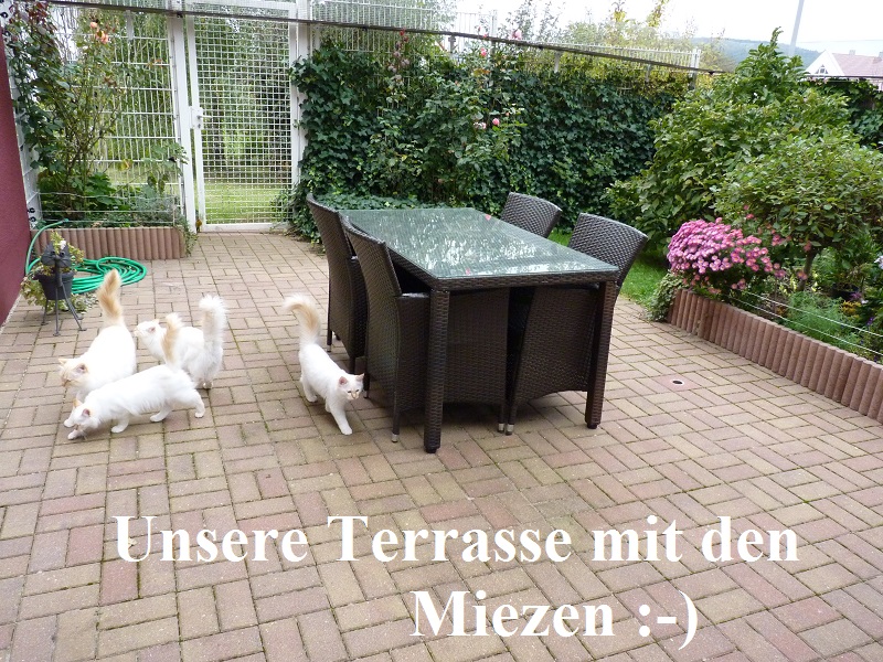 Unsere Terrasse