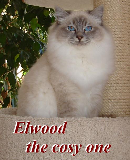 Elwood gro0